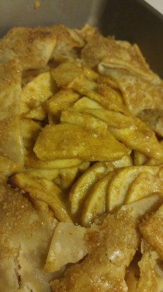 20170108_183132_resized