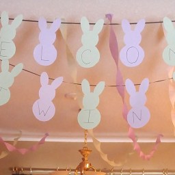 Bunny Baby Shower!