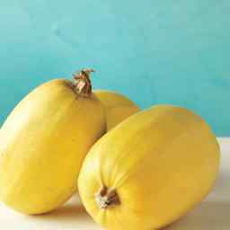 Chicken Alfredo Spaghetti Squash