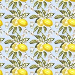 Limoncello Cream Torte