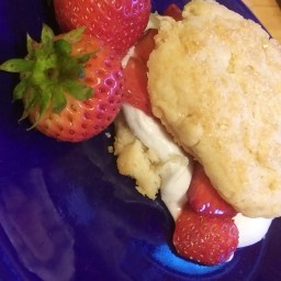 Vegan Strawberry Shortcake with Coconut Whipped Cream
